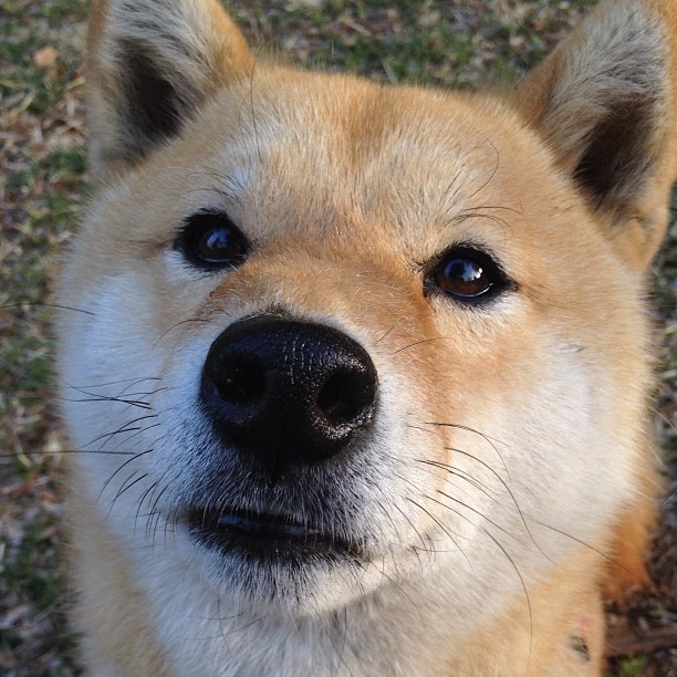 JiuyouAPP下载-山地穿越障碍赛，挑战自然的极限玩法，山地户外越野挑战赛
