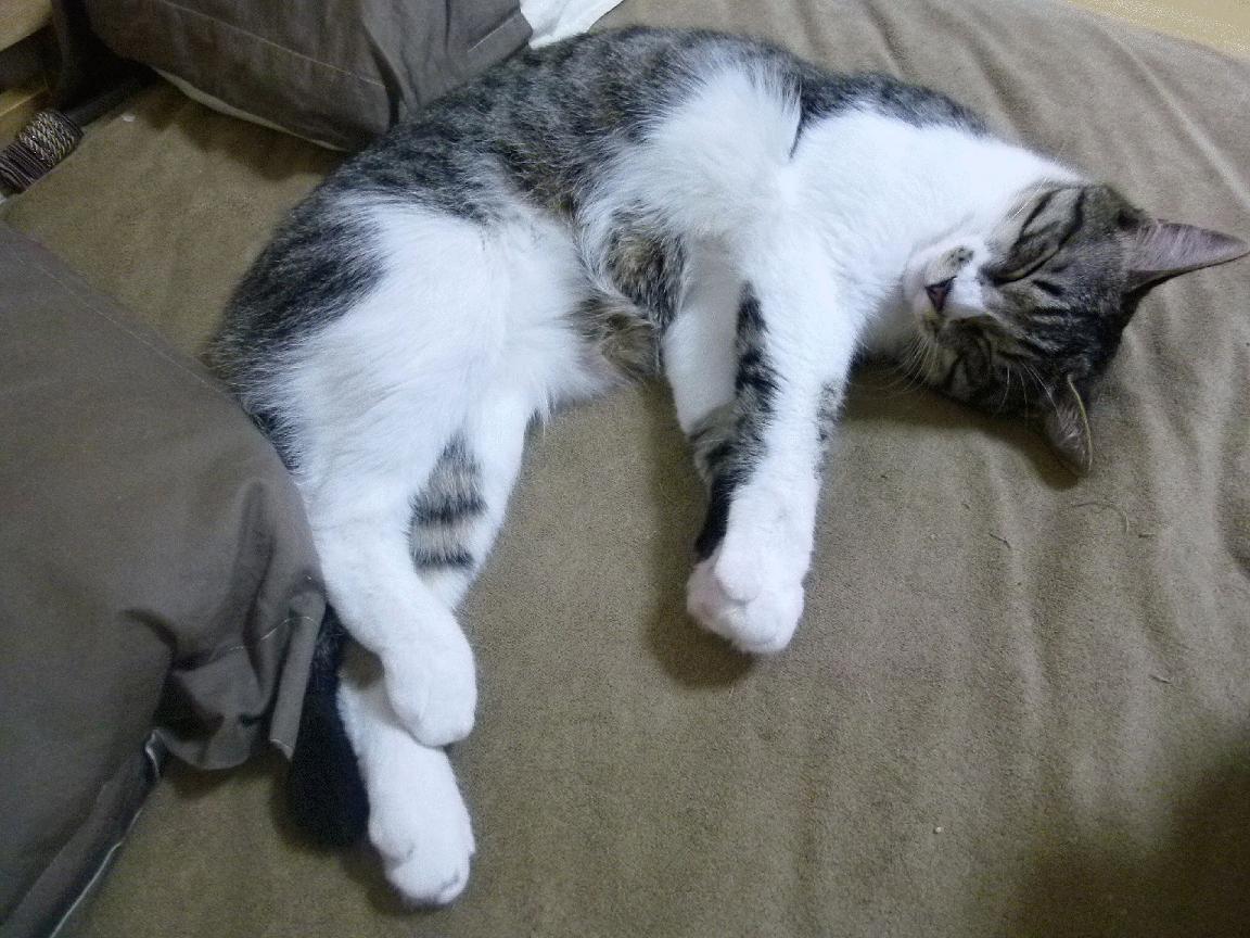 广场舞与健身产业融合发展，广场舞与全民健身