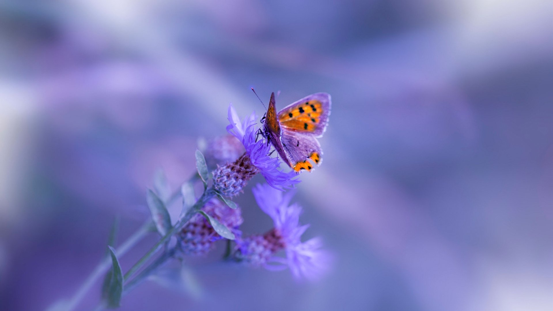 九游娱乐中心-盘点揭秘：一场比赛中最值得关注的五个瞬间，盘点揭秘_一场比赛中最值得关注的五个瞬间是什么