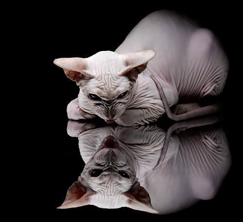 超级马里奥派对锦标赛激烈角逐,童趣与竞技双重体验,超级马里奥派对2021