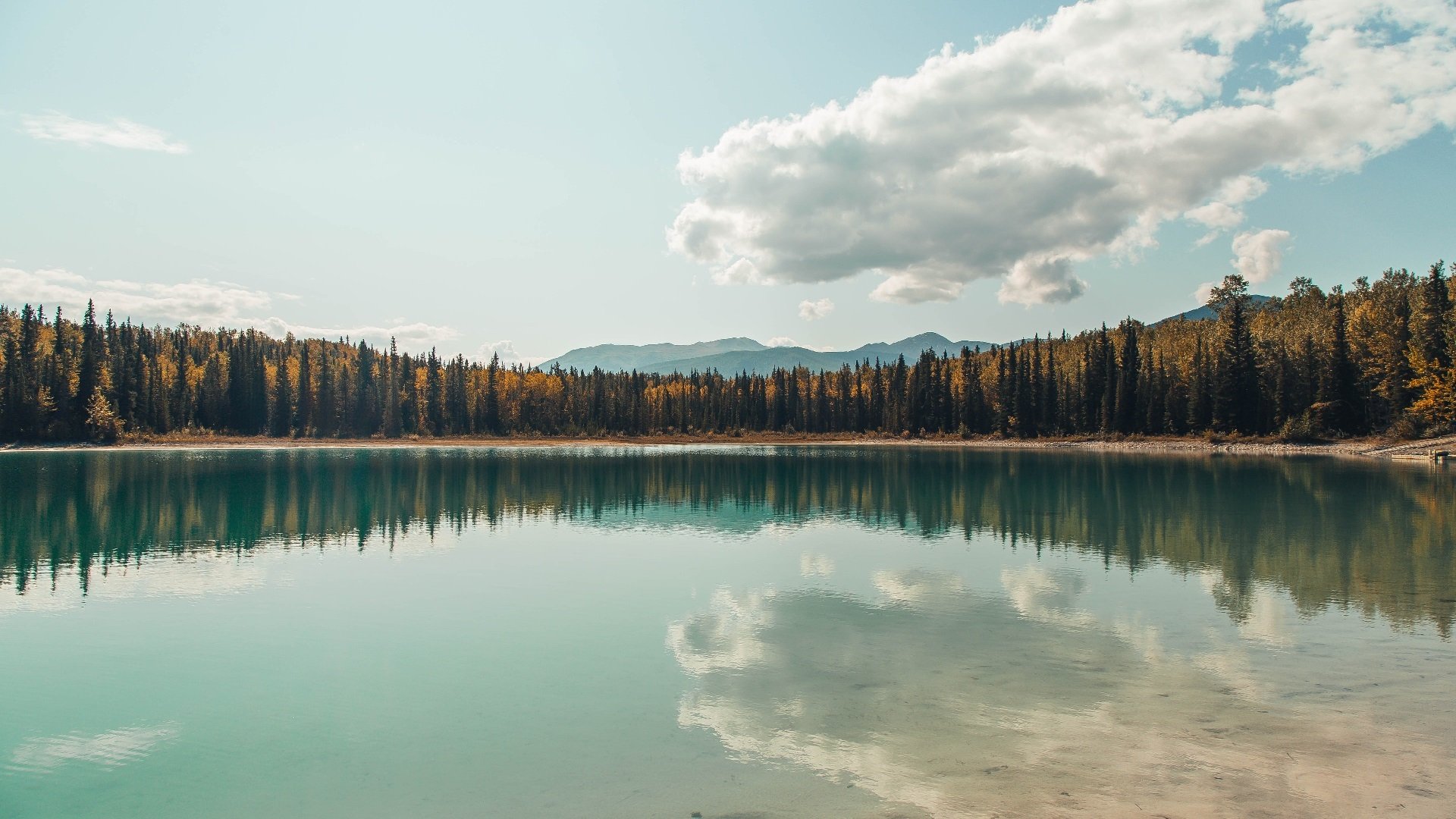 九游官网下载电脑版-足球电视栏目改版后收视率节节攀升，足球电视频道节目表
