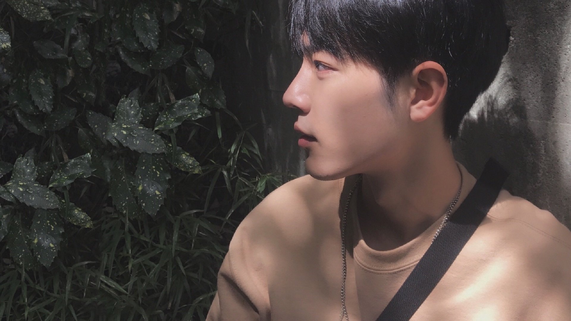 亚洲足球锦标赛即将点燃绿茵战火，亚洲足球俱乐部冠军联赛