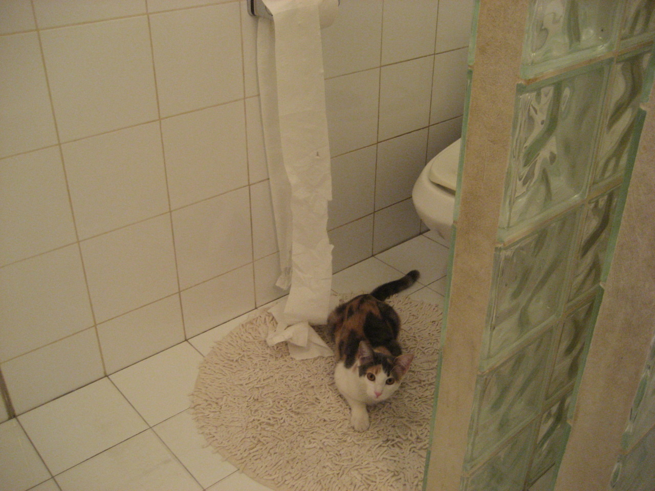 JiuyouAPP下载-厄瓜多尔队领跑局势，实力备受认同，厄瓜多尔最近战绩