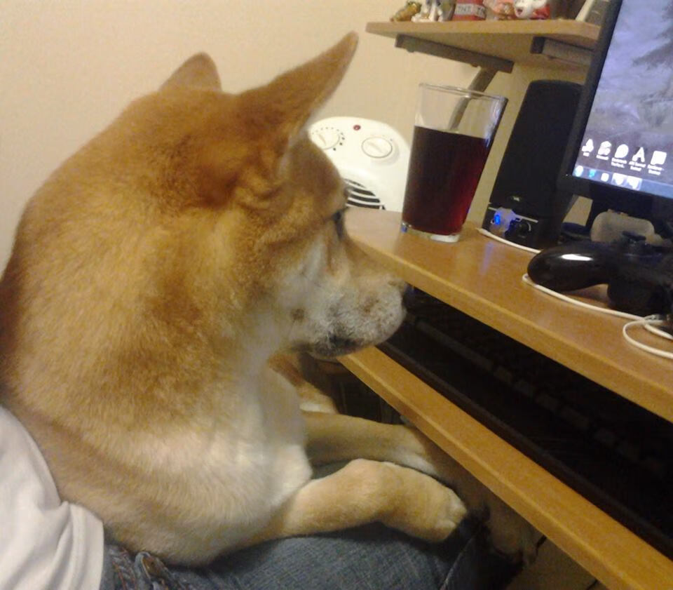 布伦特福德中场衔接紧密，蜜蜂军团力拼欧战席位，布伦特福德吧