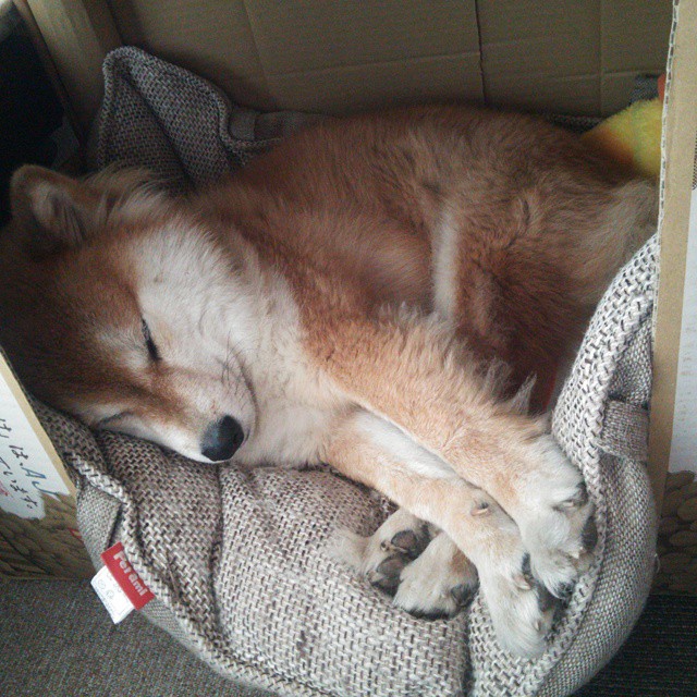 九游-韩国全民健康意识显著提升，韩国全民健身