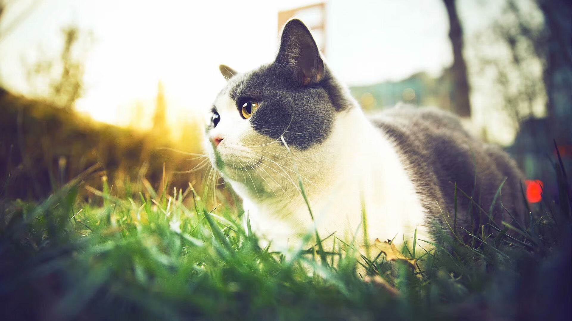 俱乐部缺乏复合型足球管理人才，俱乐部缺乏复合型足球管理人才的例子