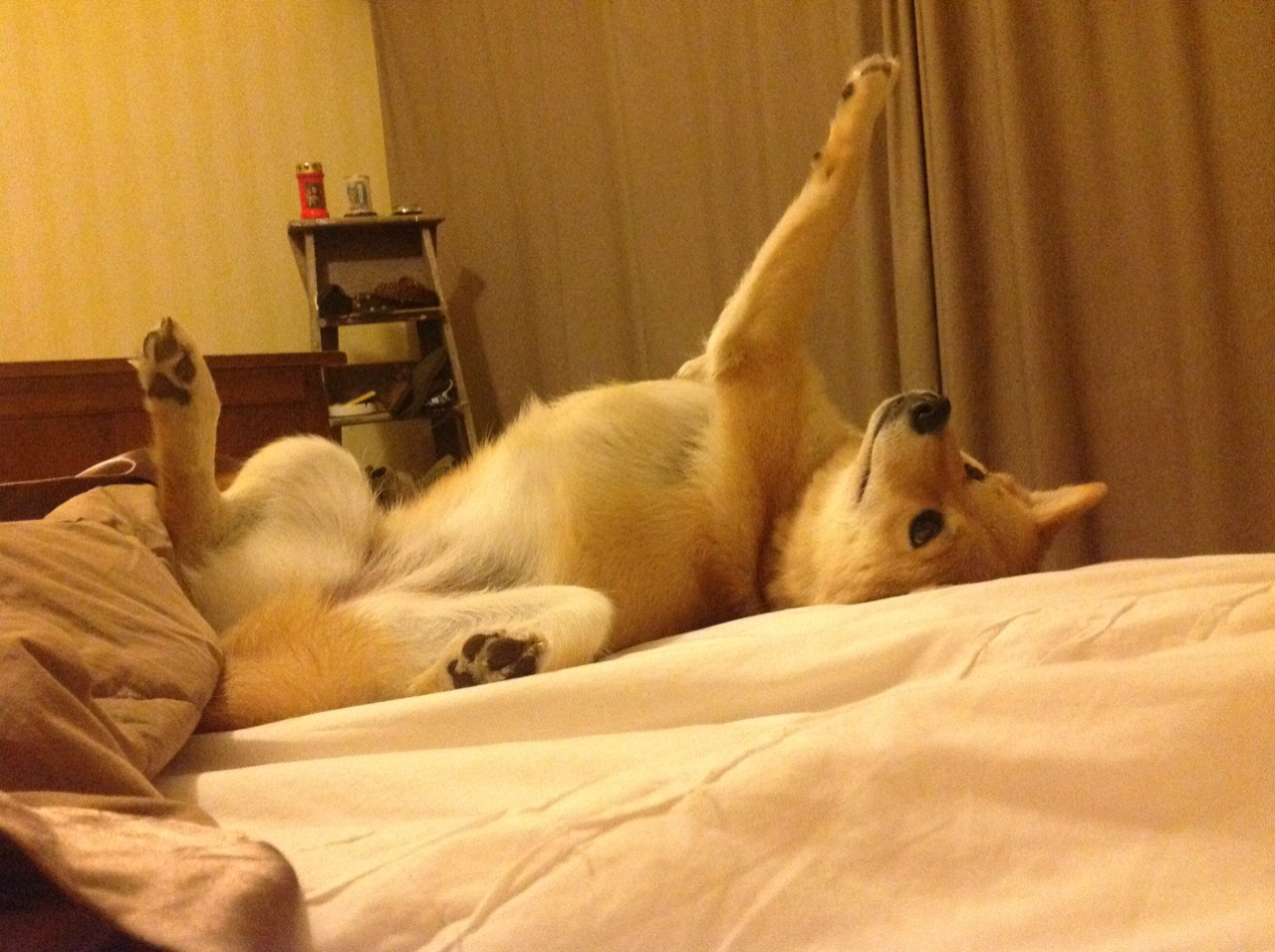 九游娱乐官网 (jiuyou)-大比分逆转第四节关键战术深度剖析，大比分落败