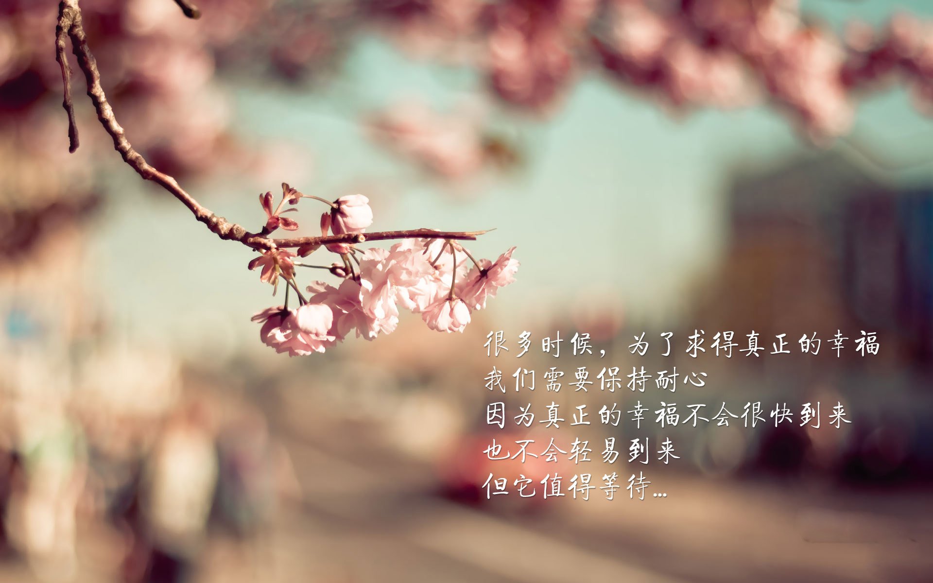 足球训练引入区域联防数据模型，足球区域防守战术