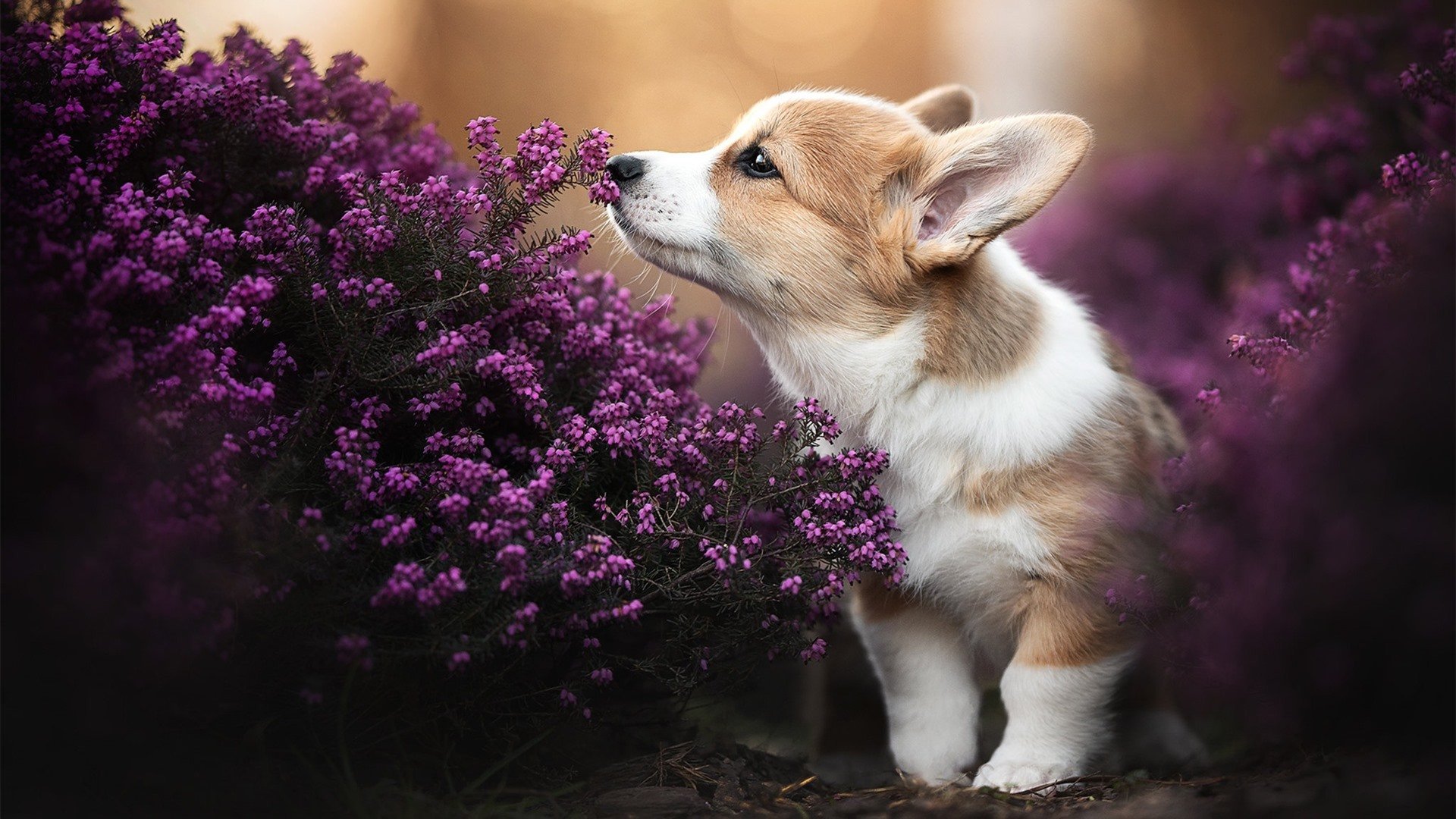 赛后复盘提出中路渗透仍存空档将作为下阶段重点训练方向,足球中路渗透进攻教案